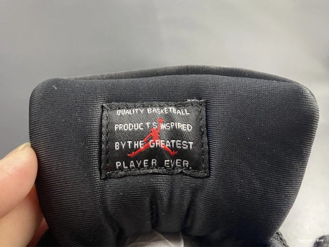 HYPE 11 AIR INSTINCT JORDAN AR0715-010 ANIMAL 0712